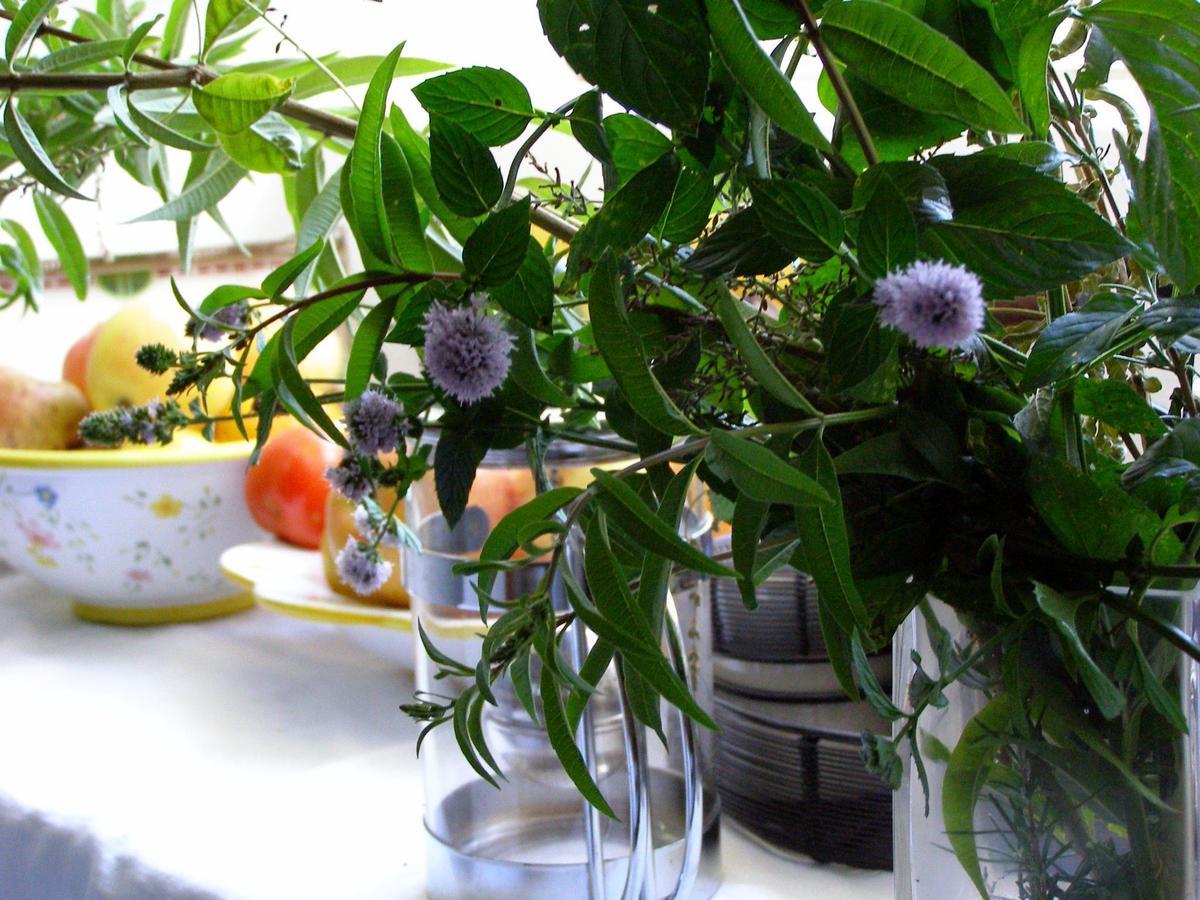 Welcoming Holiday Home in Villaverde de Pontones with Garden Buitenkant foto